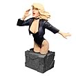 Women of the DC Universe Black Canary Bust